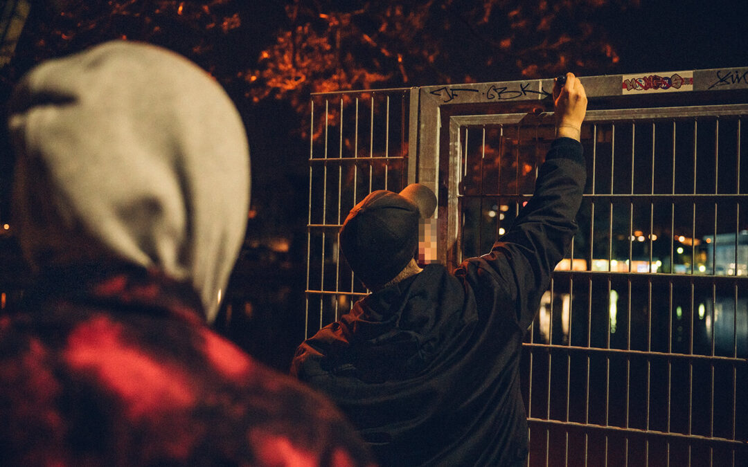 we only come out at night